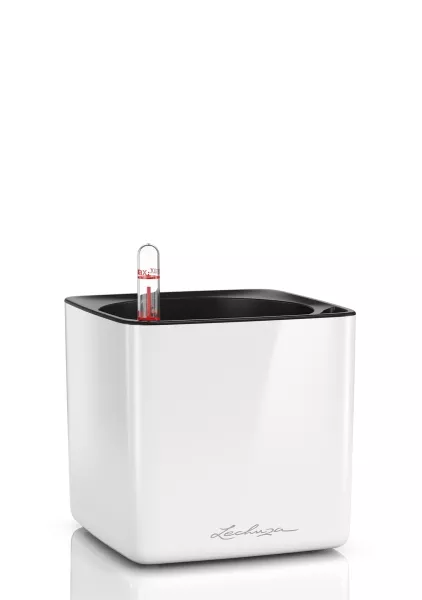 Кашпо LECHUZA CUBE Glossy 16х16 см