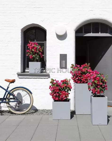 Кашпо LECHUZA CANTO Stone high 40х76 см