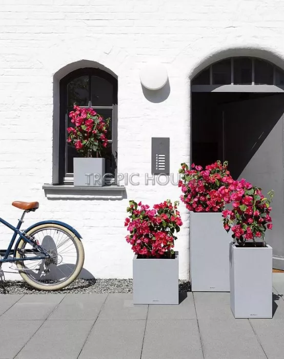 Кашпо LECHUZA CANTO Stone high 40х76 см