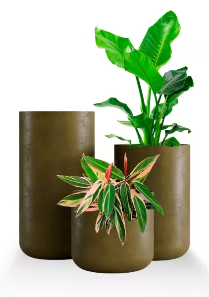 Кашпо CONCRETIKA TOPPER AVOCADO GREEN