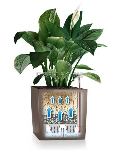 Кашпо LECHUZA CUBE 40х40 см