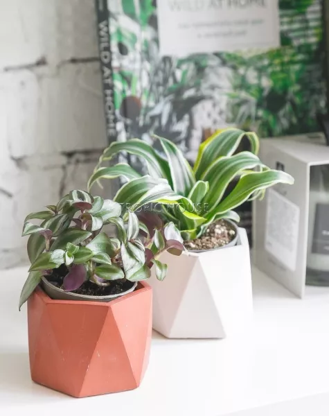 Кашпо бетонное настольное ТН 18