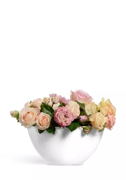 Кашпо TREEZ Effectory, Ваза-Лодка малая, Белый глянцевый лак