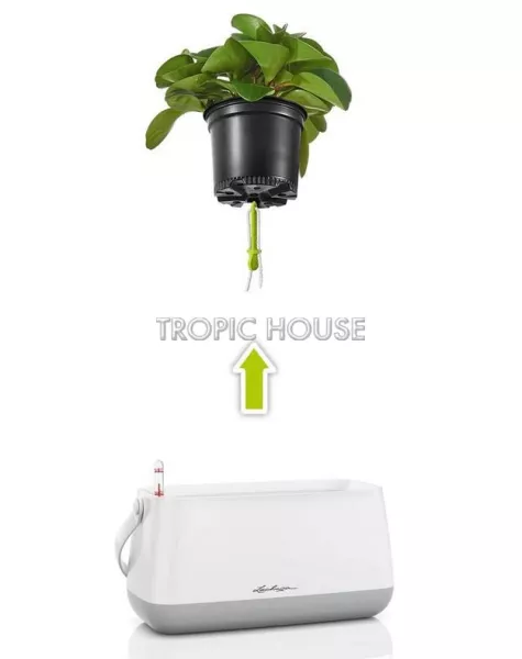 Корзинка для растений LECHUZA YULA 38х33 см