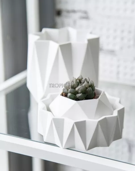 Кашпо Cassiopeia