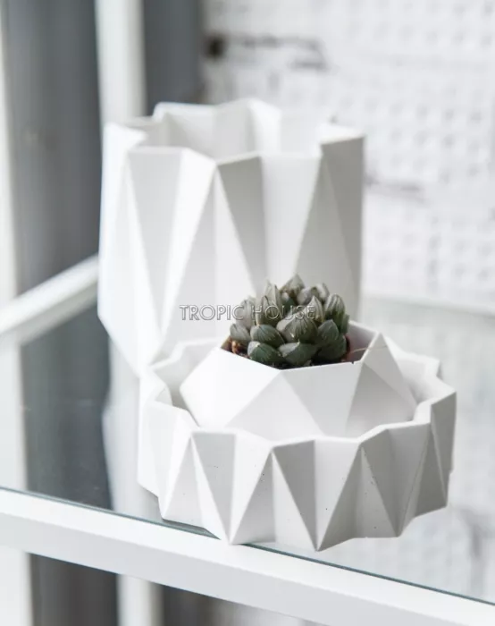 Кашпо Cassiopeia