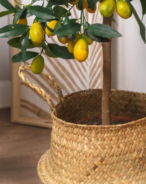 Корзина средняя крафт