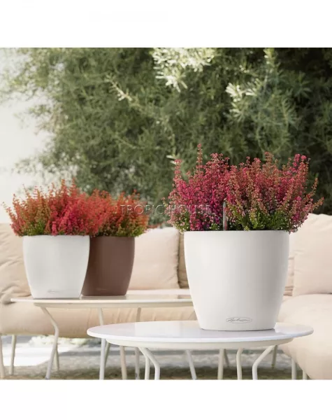 Кашпо LECHUZA CLASSICO Color 28х26 см