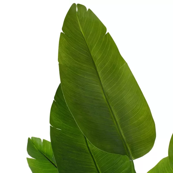 Растение искусственное в кашпо "Стрелиция люкс", H180 см, 13 веток