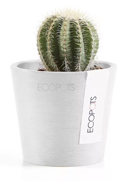 Ecopots Amsterdam Mini 8