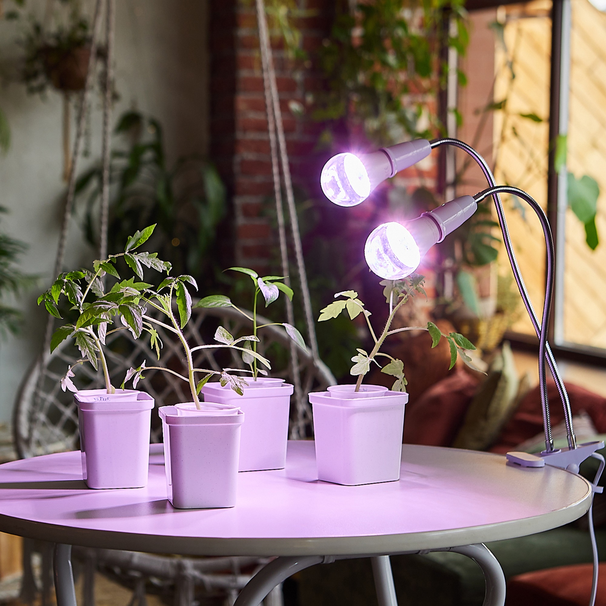 Как выбрать лампы для подсветки растений? | TropicHouse