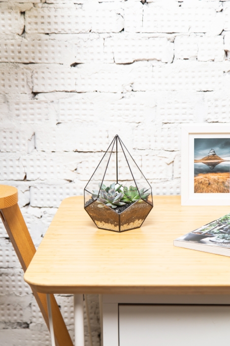 Флорариум - мини капля с суккулентами