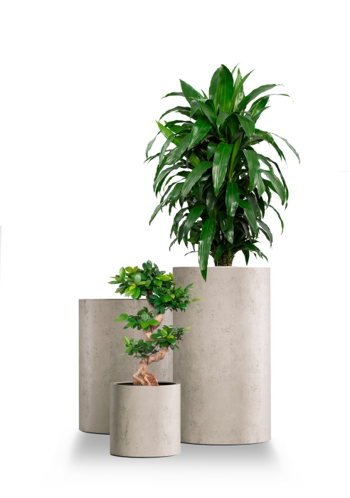 Кашпо CONCRETIKA CYLINDER CONCRETE WHITE
