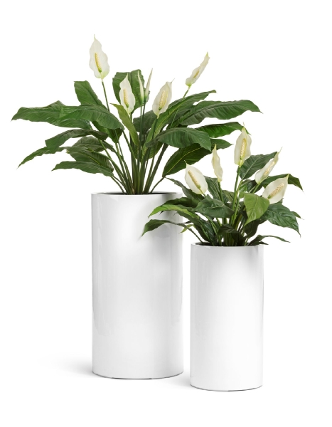 Кашпо TREEZ Effectory, Высокий цилиндр, Белый глянцевый лак