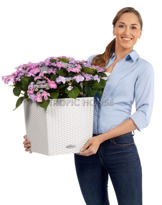 Кашпо LECHUZA CUBE Cottage 40х40 см