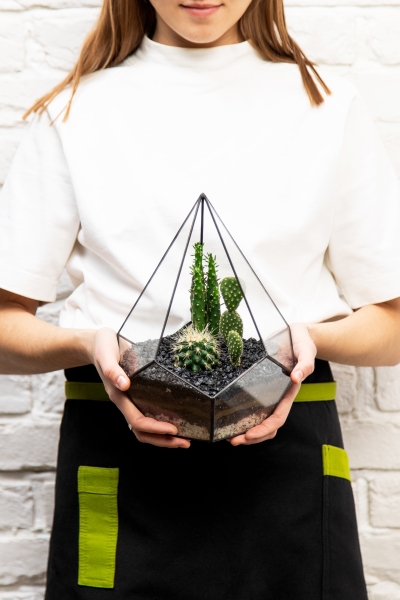 Флорариум-капля с мини-кактусами