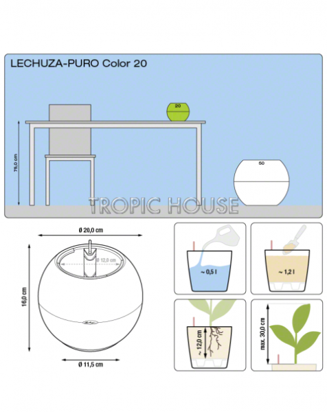 "Набор для детской" Каланхоэ в PURO 20