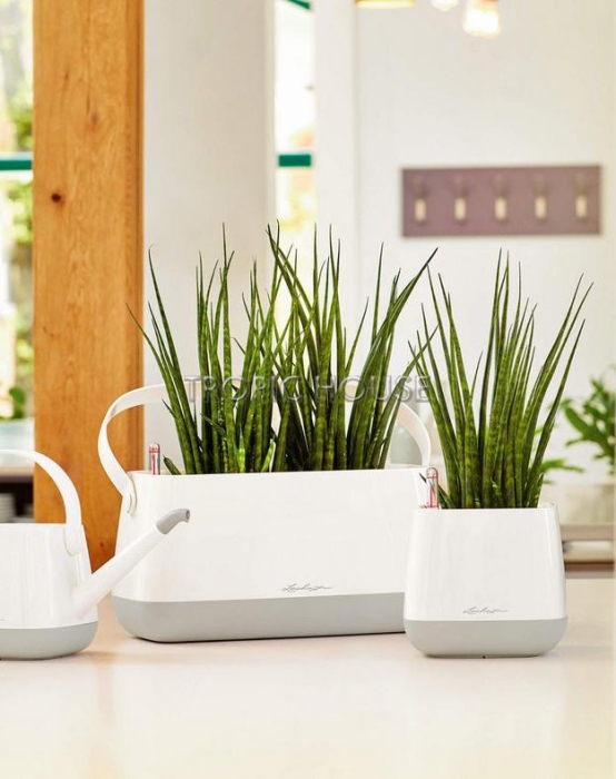 Кашпо LECHUZA YULA 17х15 см