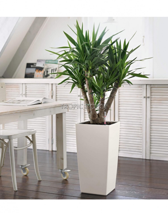 Кашпо LECHUZA CUBICO Color 30х56 см