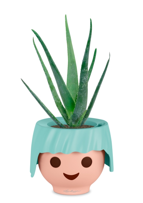 Алоэ Вера в OJO, голубой