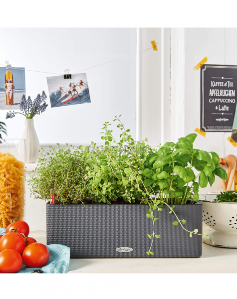 Кашпо LECHUZA CUBE Color Triple 14х14 см