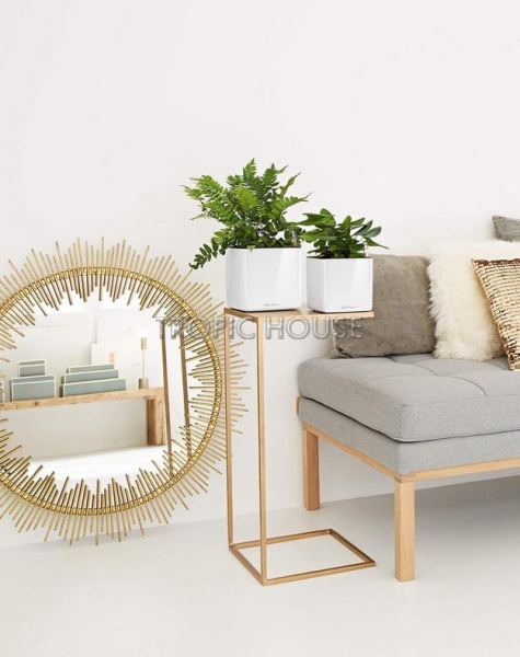 Кашпо LECHUZA CUBE Glossy 14х13.5 см