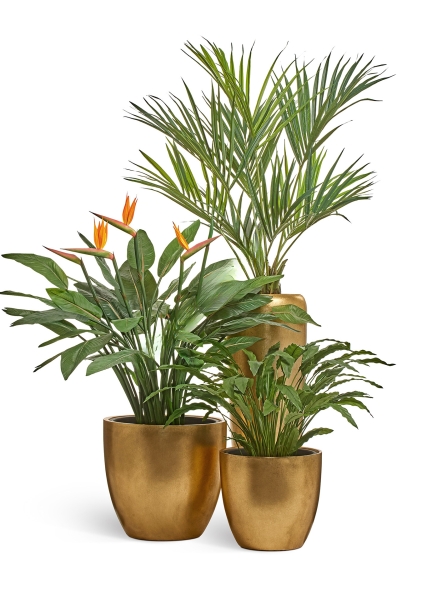 Кашпо TREEZ Effectory, Округлый конус, Сусальное золото