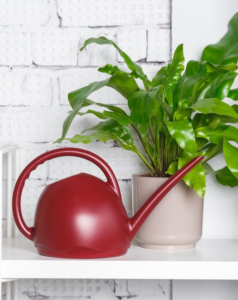 Лейка для комнатных цветов Medusa (красное вино)