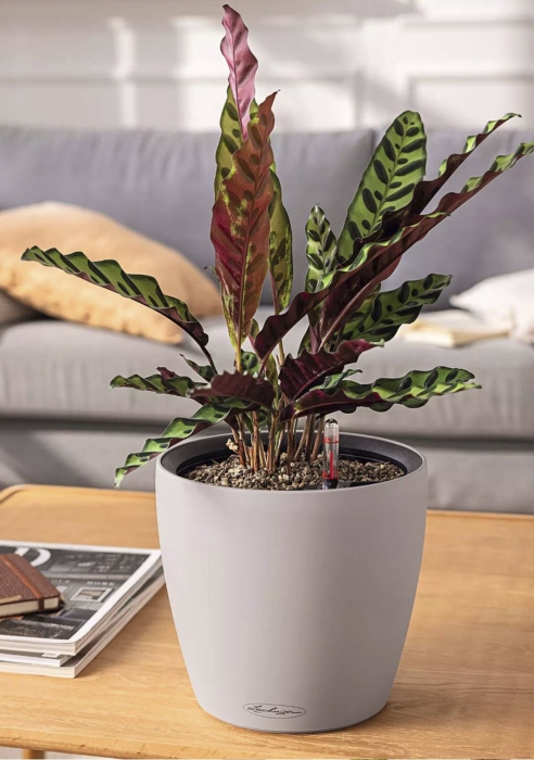 Кашпо LECHUZA CLASSICO Color LS 43х40 см