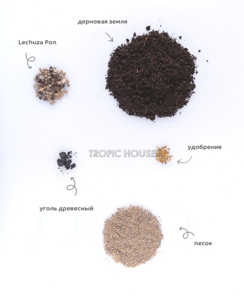 Грунт TROPIC HOUSE для драцен