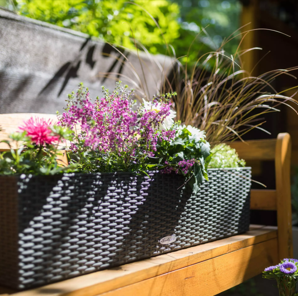 Петуния Цветной Микс в BALCONERA Cottage 80 Петуния Цветной Микс в BALCONERA Cottage 80