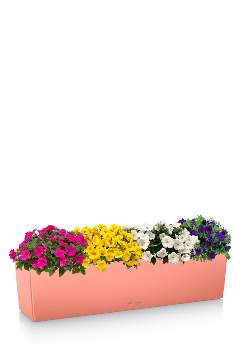 Петуния Цветной Микс в BALCONERA 80, коралловый