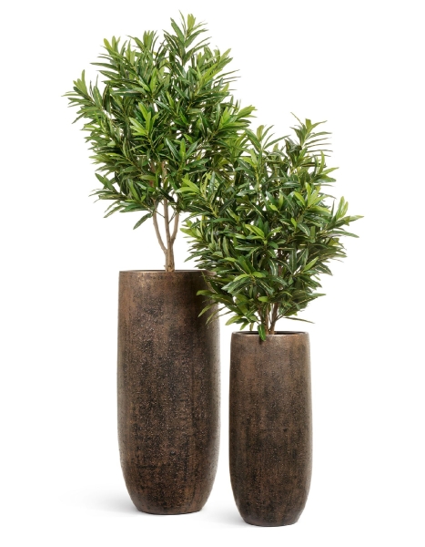 Кашпо TREEZ Effectory, Высокий округлый конус, Rough с золотой патиной