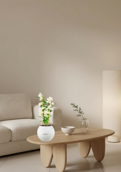 Дендробиум белый в PURO 20