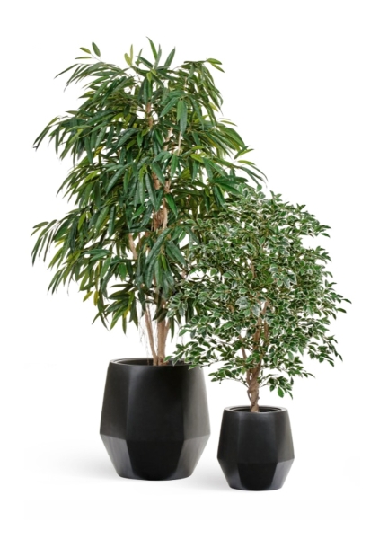 Кашпо TREEZ Effectory, Crystal, Многогранник, Антрацит