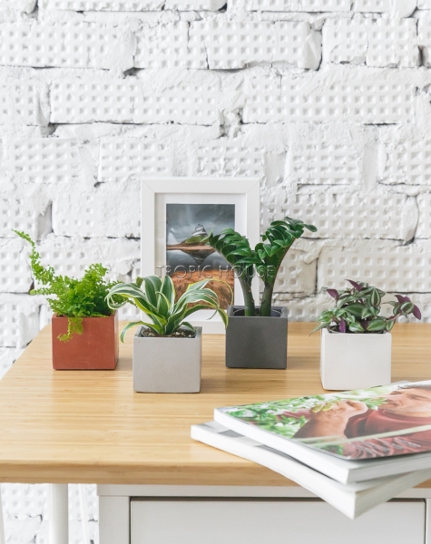 Кашпо бетонное настольное ТН 21