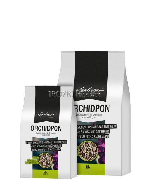 LECHUZA ORCHIDPON