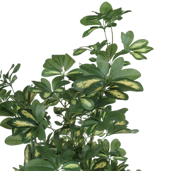 Дерево искусственное в кашпо "Шеффлера", Н180 см, 1022 листа