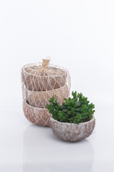 Набор из 3х кашпо "Кокос"