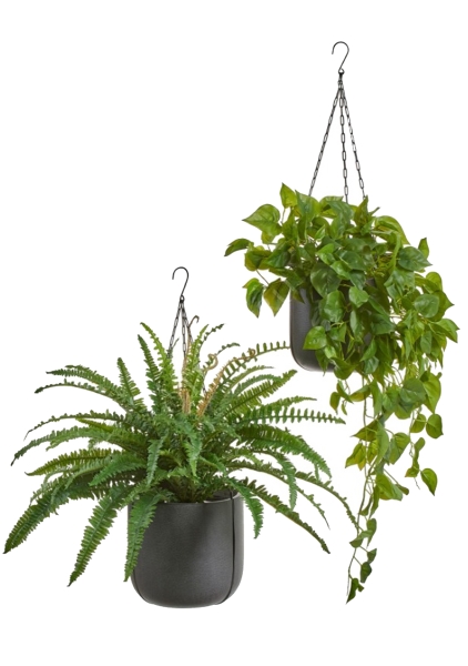 Кашпо TREEZ Effectory, Beton, Чаша подвесная, Тёмно-серый бетон