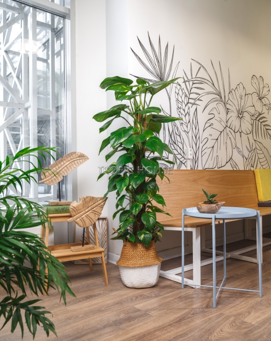 Корзина большая белый\крафт