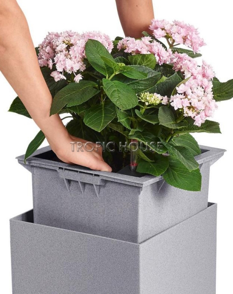 Кашпо LECHUZA CANTO Stone low 30х30 см