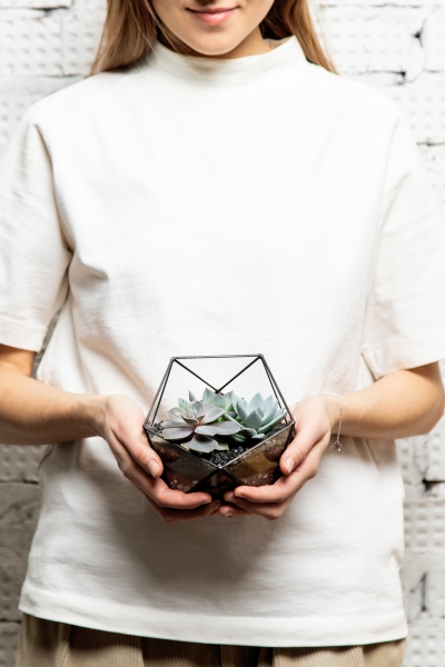 Флорариум - икосаэдр с суккулентами