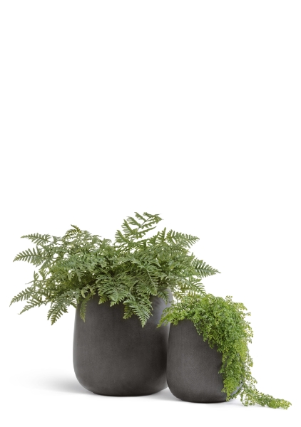 Кашпо TREEZ Effectory, Design-Чаша, Серый бетон