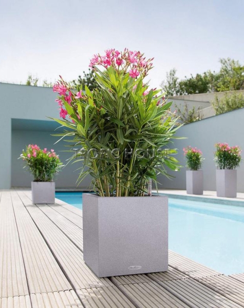 Кашпо LECHUZA CANTO Stone low 30х30 см
