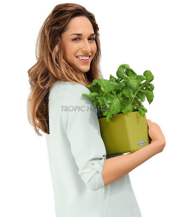 Кашпо LECHUZA CUBE Color 16х16 см