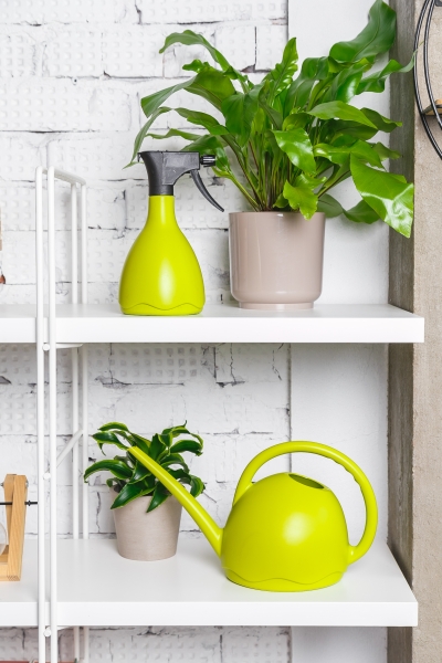 Лейка для комнатных цветов Medusa (светло-зеленый)