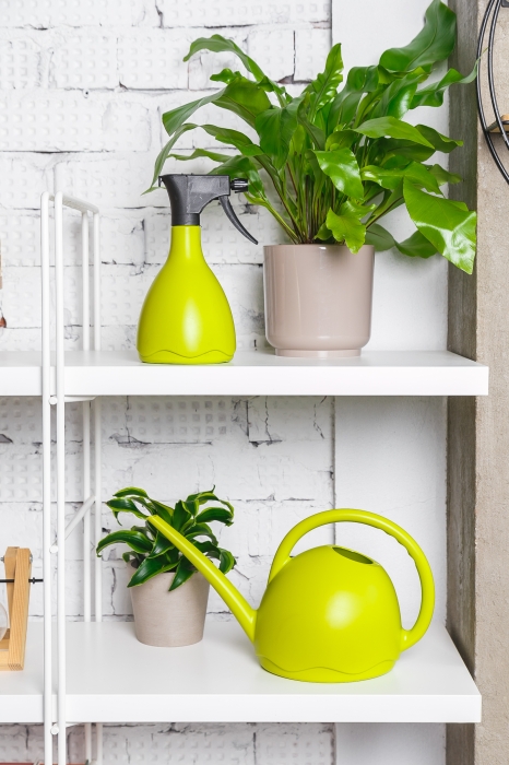 Лейка для комнатных цветов Medusa (светло-зеленый)