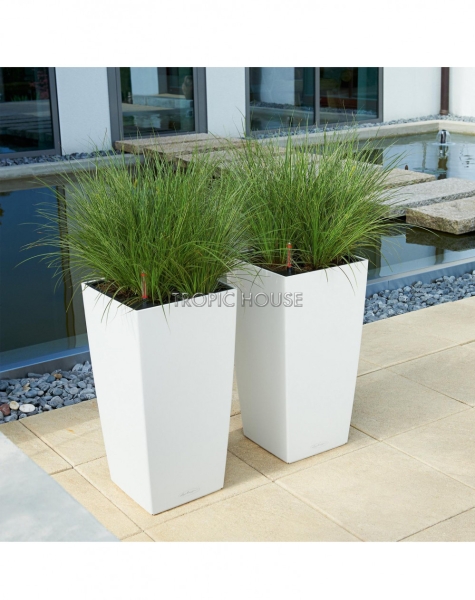 Кашпо LECHUZA CUBICO Color 30х56 см