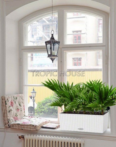 Ливистона Cottage 50